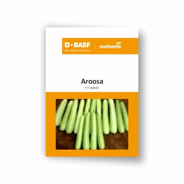 BASF Nunhems Bottle Gourd AROOSA (100 Seeds)