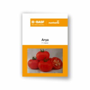 BASF Nunhems Tomato arya (3000 Seeds)