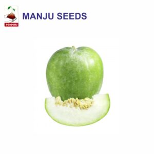 manju Ash gourd seeds (1 KG)(PACK OF 10)