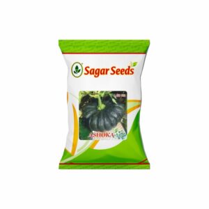 Sagar ashoka(black) F-1 Hybrid Pumpkin Seeds (100 gm)