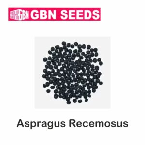 GBN Asparagus racemosus (Shatavari) seeds (1 KG)(pack of 10)