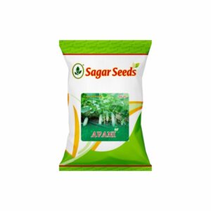 Sagar Avani (GREEN) F-1 Hybrid Cucumber Seeds (25 gm)