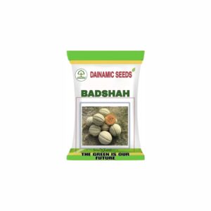 DAINAMIC MUSK MELON BADSHAH (25 gm)
