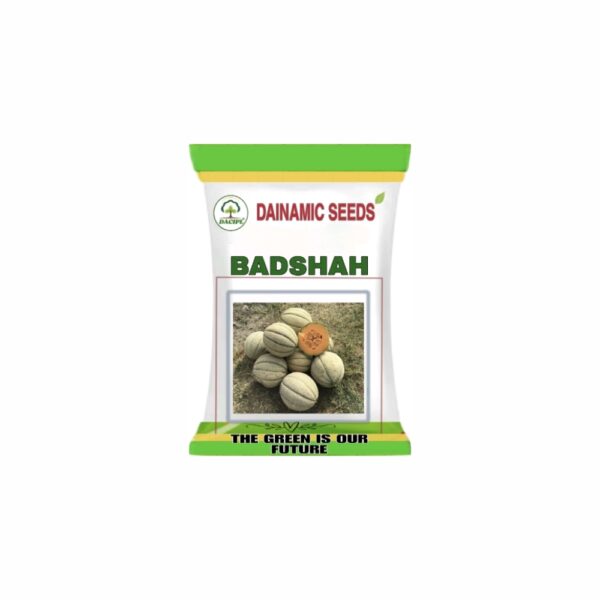 DAINAMIC MUSK MELON BADSHAH (25 gm)