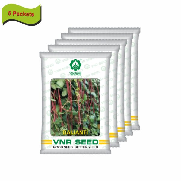 VNR Cowpea baijanti  (100 GM)(5 packets) - Image 2