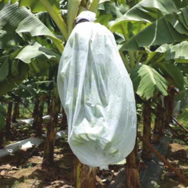SIDWIN BANANA BUNCH COVER(17 GSM - 31" TUBE FROM - 200 MTR LENGTH)