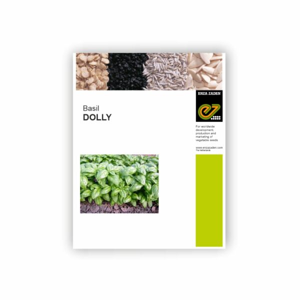 ENZA ZADEN BASIL DOLLY (1000 SEEDS)