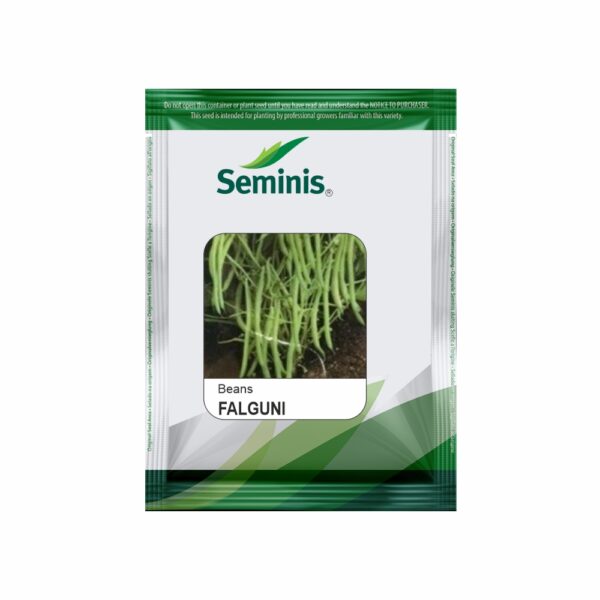 SEMINIS / MONSANTO BEANS FALGUNI (500GM)
