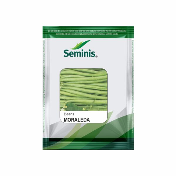 SEMINIS / MONSANTO BEANS MORALEDA (500GM)