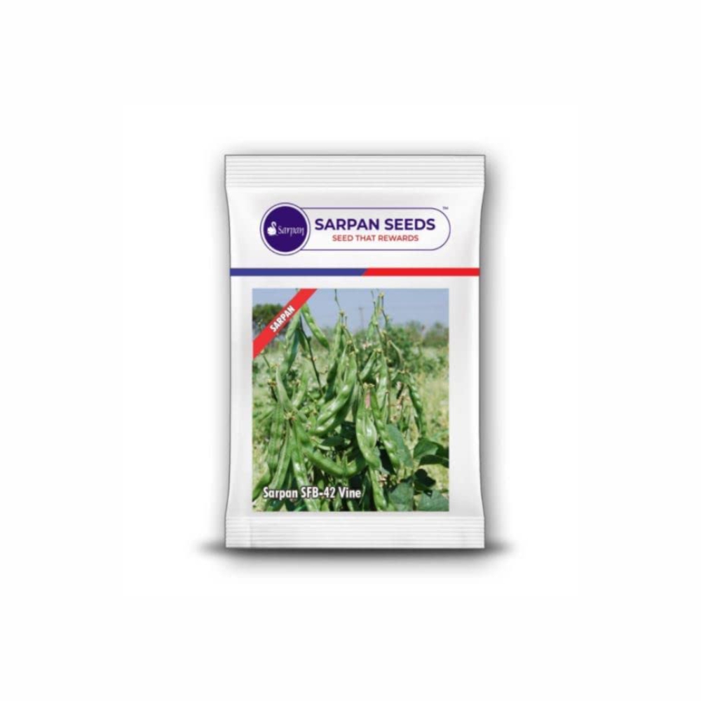 SARPAN BEANS SFB-42 (100 GM)