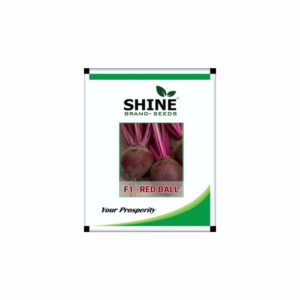SHINE F1 RED BALL BEET ROOT SEEDS (50 GM)