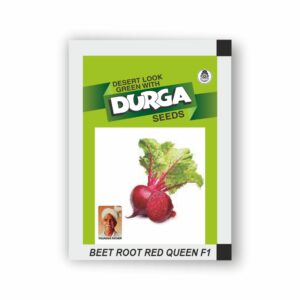 DURGA hybrid BEET ROOT RED QUEEN F1  (kitchen garden packet)  (Minimum 10 Packets)