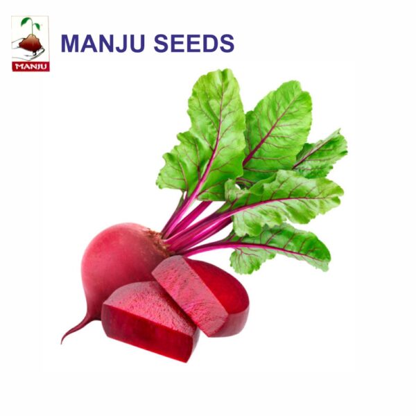 manju Beetroot seeds (1 KG)(PACK OF 10)