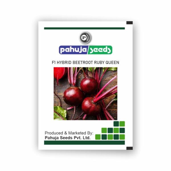 PAHUJA BEETROOT RUBY QUEEN - PAHUJA - (300GMS)
