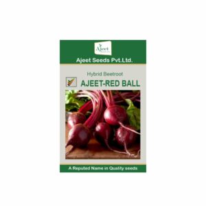 AJEET IMPROVED BEET ROOT RED BALL (250 GM)
