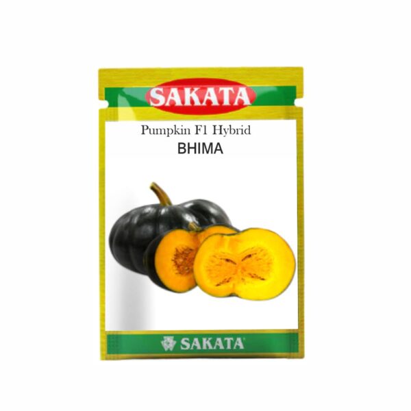 SAKATA PUMPKIN F1 BHIMA (50 GM) (POUCH)