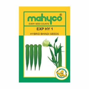 mahyco BHINDI EXP.HY.No.1 (Imidacloprid) 100 GM