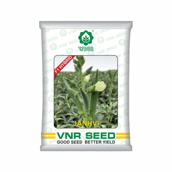 VNR OKRA hybrid JANHVI (50 GM)