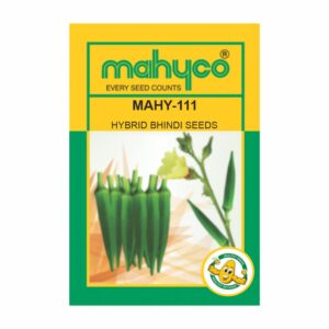 mahyco BHINDI  HY. MAHY 111  100GM