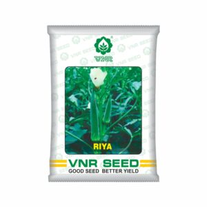 VNR OKRA RIYA (500 GM)