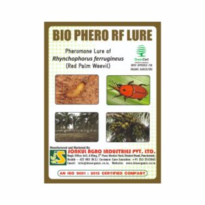 SONKUL AGRO BIO PHERO RF Lure & Bucket trap set Rhynchophorus ferrugineus (Red Palm Weevil)(5 Piece)