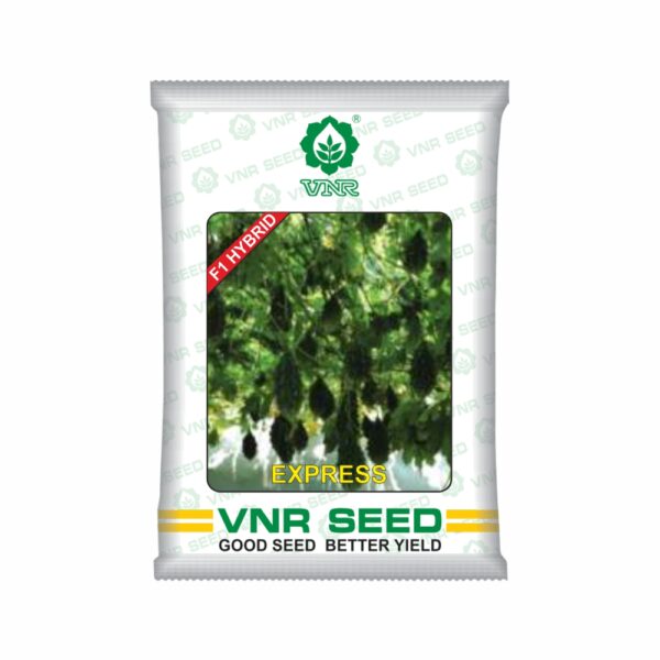 VNR  BITTER GOURD hybrid Express (50 gm)