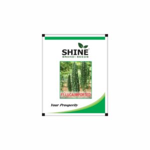 SHINE F1 LUCA(IMPORTED) BITTER GOURD SEEDS (50 GM)