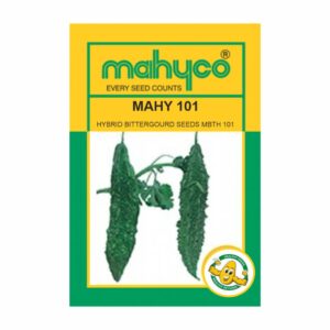 mahyco BITTERGOURD HY.MAHY 101 (MBTH-101)  10 GM