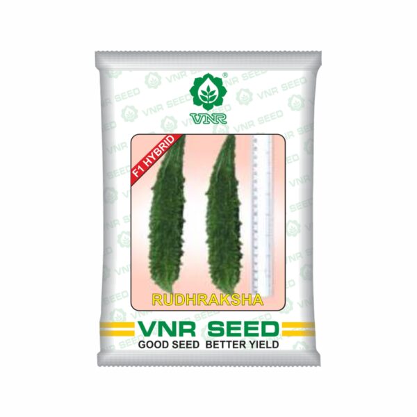 VNR  BITTER GOURD hybrid RUDRAKSHA (50 GM)