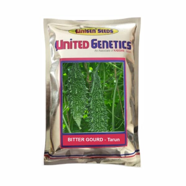 UNITED GENETICS BITTER GOURD UGI TARUN SEEDS ( 50 GM)