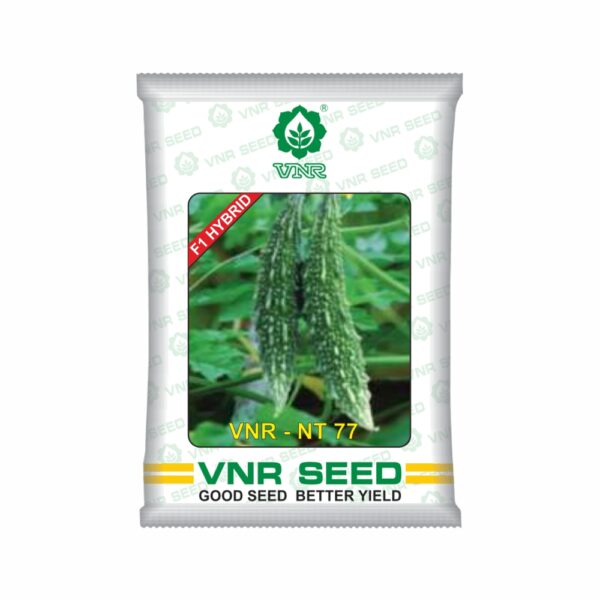 VNR  BITTER GOURD hybrid VNR NT 77 (10 GM)