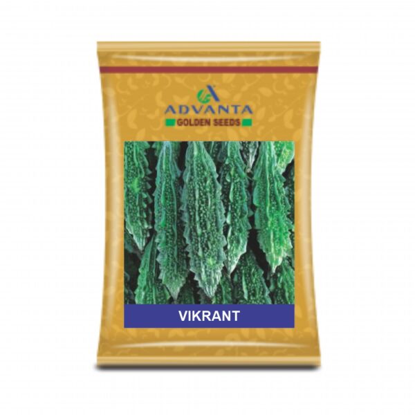 ADVANTA/upl BITTER GOURD VIKRANT (50GM)