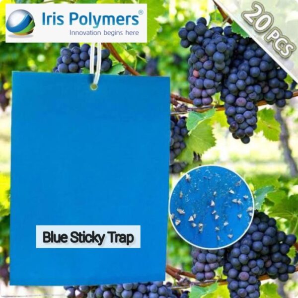 IRIS BLUE STICKY TRAP (PER PIECE) - Image 3