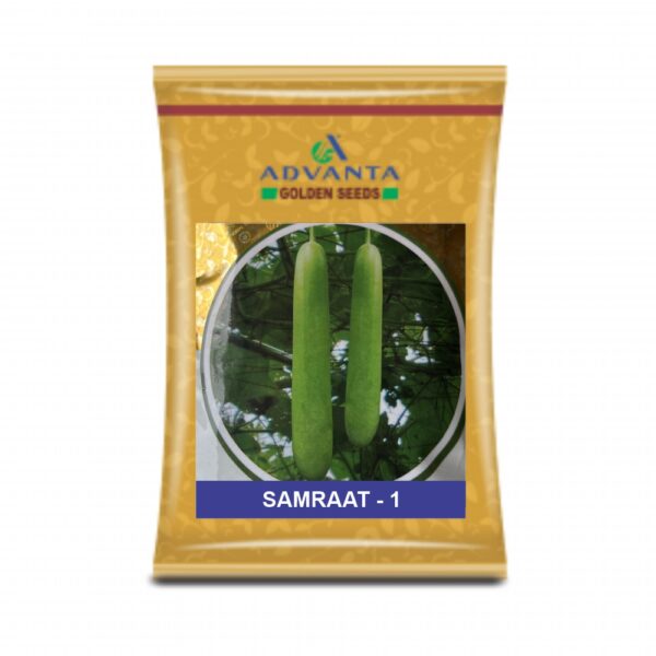 ADVANTA/upl BOTTLE GOURD SAMRAAT -1 (50GM)