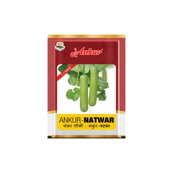 ANKUR BOTTELGOURD NATWAR (50 GM)