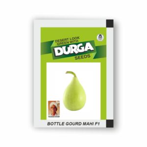 DURGA hybrid BOTTLE GOURD MAHI F1 (bulb) (10 gm) (Minimum 10 Packets)