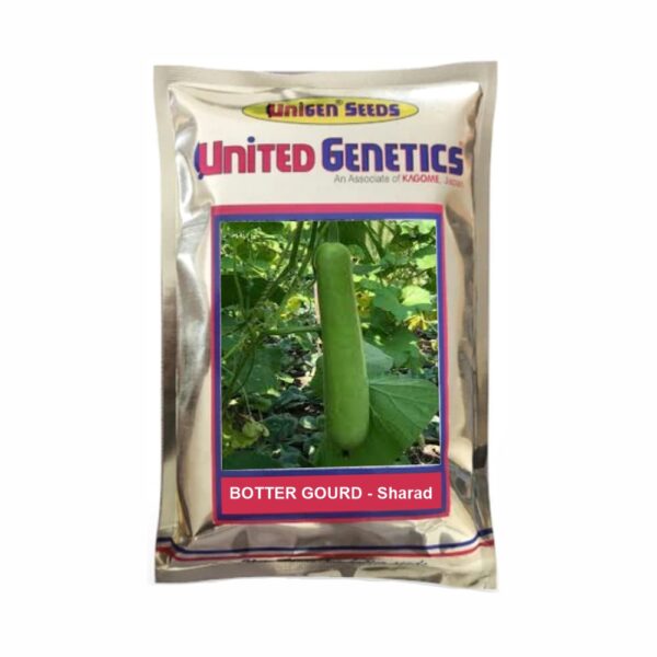 UNITED GENETICS BOTTLE GOURD UGI SHARAD SEEDS ( 50 GM)