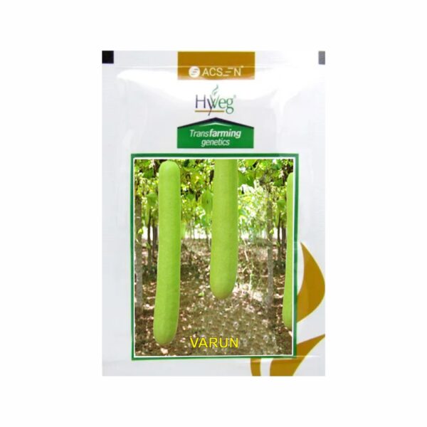 RASI-ACSEN HYVEG BOTTLE GOURD VARUN (50GM)
