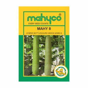 mahyco BOTTLEGOURD HY.MAHY 8 (MHBG-8) 50 GM