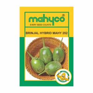 mahyco BRINJAL  HY. MAHY 252 (10 GM)