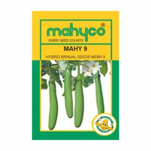 mahyco BRINJAL MAHY 9  (MEBH-9)  (10 GM)
