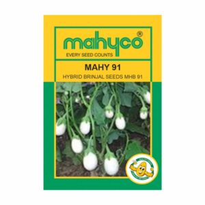 mahyco BRINJAL HY.MAHY 91 (MHB-91) (10 GM)