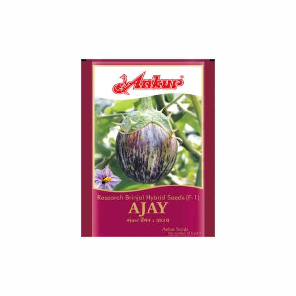 ANKUR BRINJAL AJAY (10 GM)