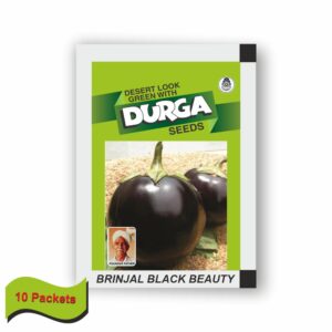 DURGA BRINJAL BLACK BEAUTY (10 gm) (10 packets)