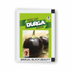 DURGA BRINJAL BLACK BEAUTY (kitchen garden packet) (Minimum 10 Packets)