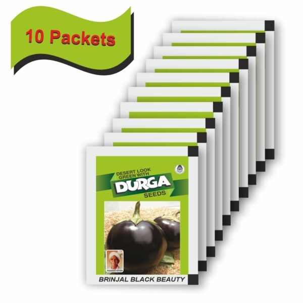 DURGA BRINJAL BLACK BEAUTY (10 gm) (10 packets) - Image 2