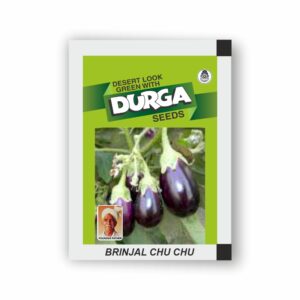 DURGA BRINJAL CHU CHU(kitchen garden packet)