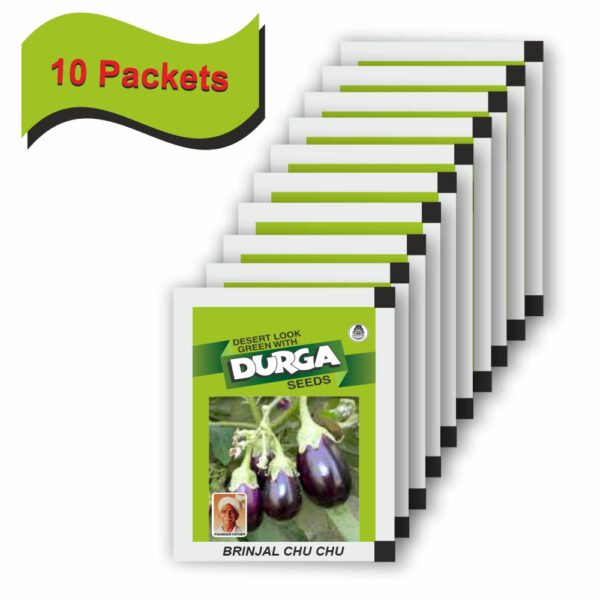 DURGA BRINJAL CHU CHU(100 gm)(10 packets) - Image 2