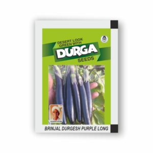 DURGA BRINJAL DURGESH PURPLE LONG (kitchen garden packet) (Minimum 10 Packets)