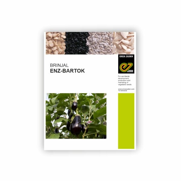 ENZA BRINJAL ENZ-BARTOK (1000 seeds)